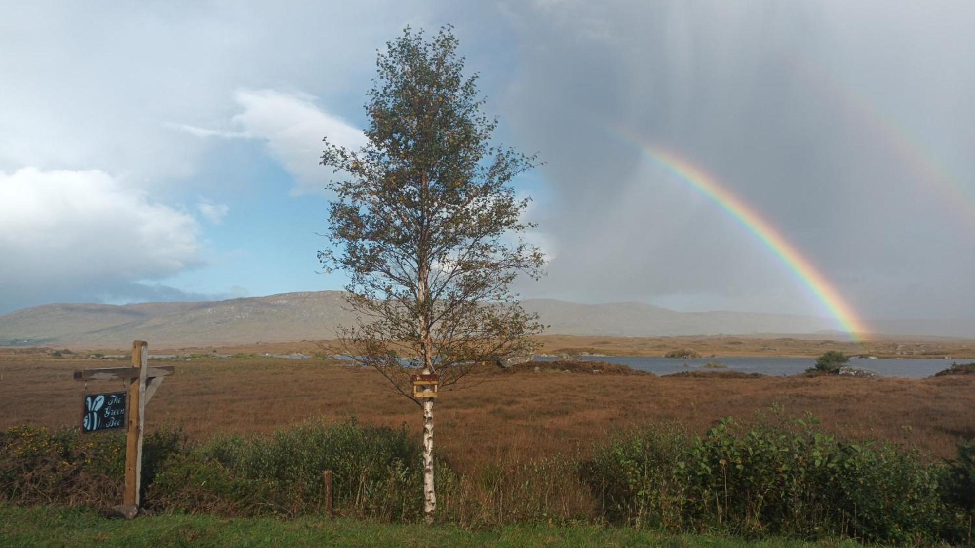 Connemara Lake View Apartment Camus Eighter Exterior foto